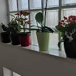 Apartment Ruza Rg
