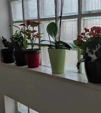 Apartment Ruza Rg
